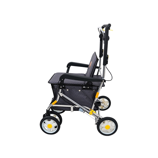 BFSC-01