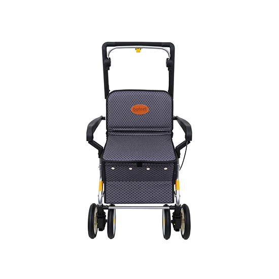 BFSC-01