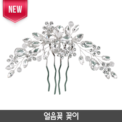 N-얼음꽃 꽂이