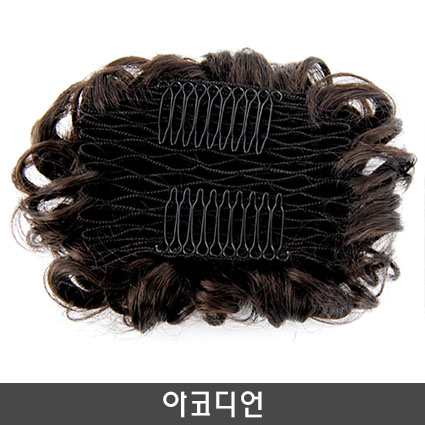 아코디언(아카디온)