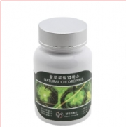 굳수엽록소 10병 상품