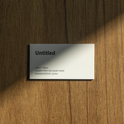 포맥스 작품캡션