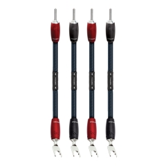 [AudioQuest] 오디오퀘스트 Thunderbird Bi-wire jumper 썬더버드 점퍼케이블