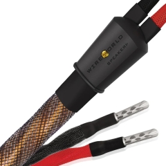 [WireWorld] 와이어월드 ECLIPSE 10 Speaker Cables 이클립스 10 스피커 케이블 (ECS)