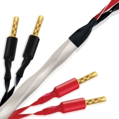 [WireWorld] 와이어월드 Solstice 10 Bi-wire Speaker Cables 솔스티스 10 바이와이어링 스피커 케이블 (바나나 단자) (SOB)
