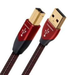 [AudioQuest] 오디오퀘스트 시나몬 Cinnamon USB A-B 케이블