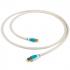[Chord Company] 코드컴퍼니 C-Line (씨라인) USB A to B Digital Cable