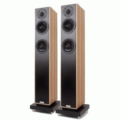 [특별할인관] PenAudio 펜오디오 Rebel3 톨보이 스피커