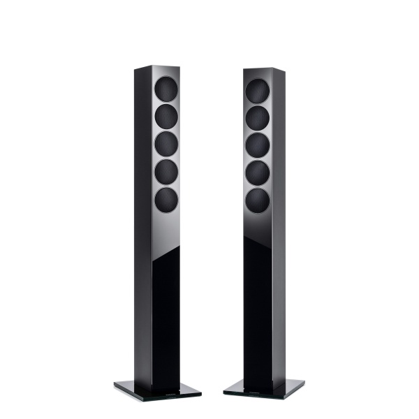 [특별할인관] 리복스 REVOX 엘레강스 G120 톨보이 스피커