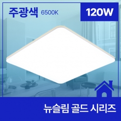뉴슬림 골드 120W (710*710)