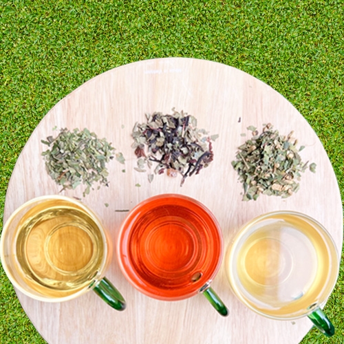 [레몬머틀 플러스] 레몬머틀 진저 5포 단품