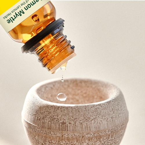 [신규출시 30%할인] 규조토볼 디퓨저 원형_월넛