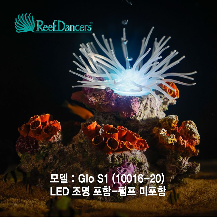 코랄댄서 (Coral Dancer Glo S1/10016-20)조명포함-Reef Dancers