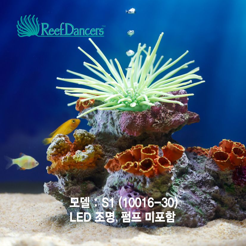 코랄댄서 (Coral Dancer S1/10016-30)조명불포함-Reef Dancers