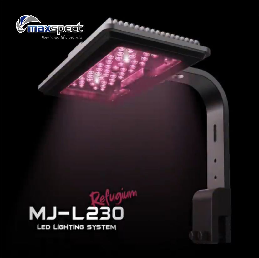 MJ-L230(130신형)-리퓨지움-조명-맥스펙트