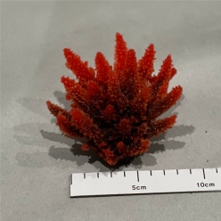 아크로포라 S-12x10x7cm (SH056S)-인조산호-원아쿠아