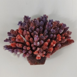 인조산호-12x3x8cm (MA143R+PU 아크로포라)-인조산호-원아쿠아