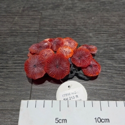 인조산호-11x8x3cm (SH213 R)-인조산호-원아쿠아