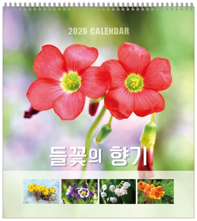 C104_들꽃의 향기