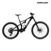 AMFLOW PX 카본 STANDARD E-바이크