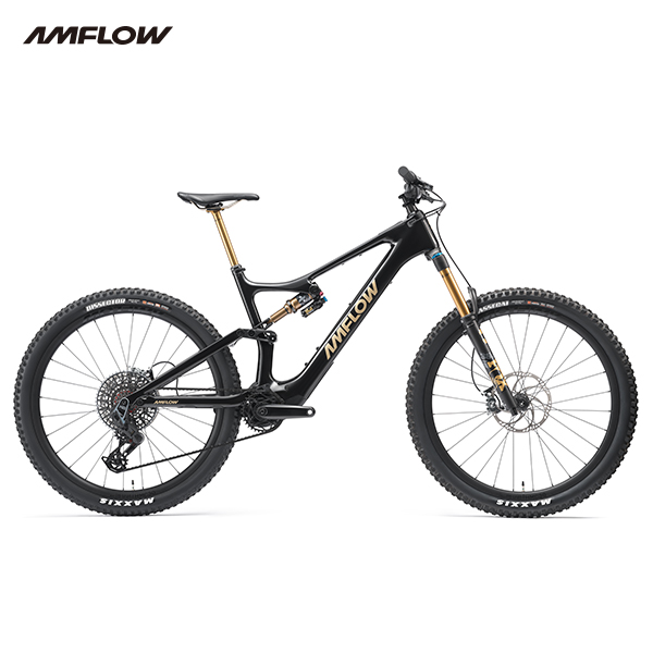 AMFLOW PL 카본 프로 E-바이크