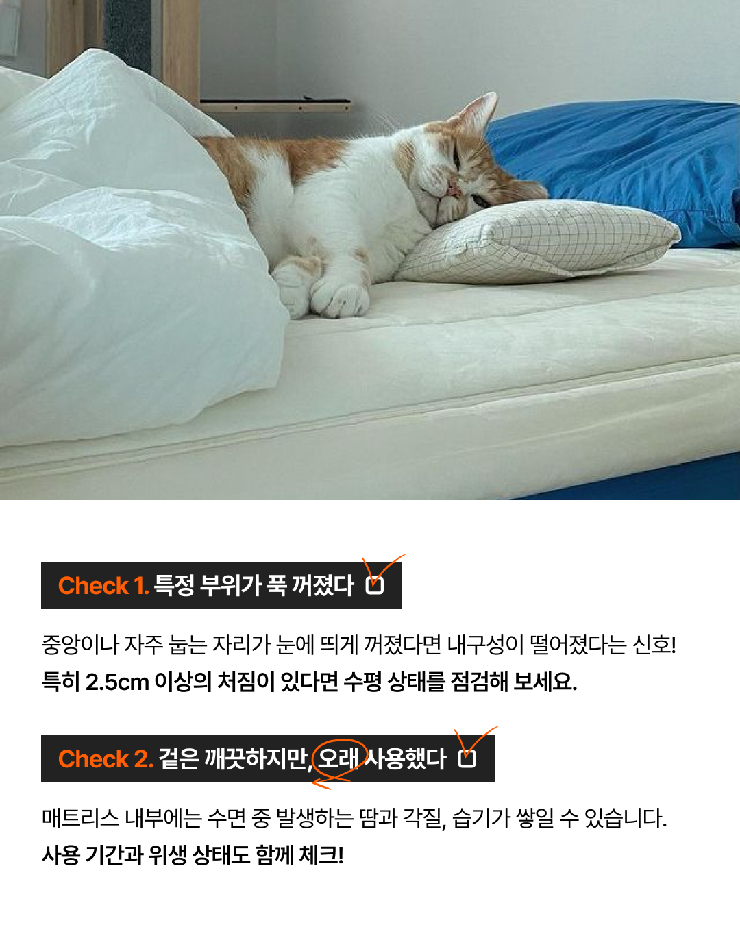 eccbc87e4b5ce2fe28308fd9f2a7baf3_175419.png eccbc87e4b5ce2fe28308fd9f2a7baf3_175419.png