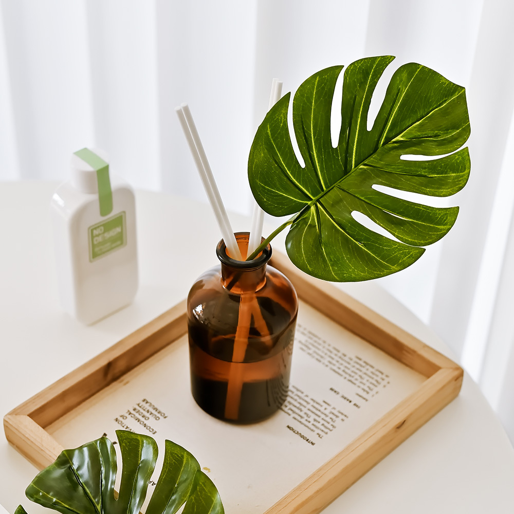 [노디자인] 향기에 집중한 몬스테라 인테리어 디퓨저 150ml