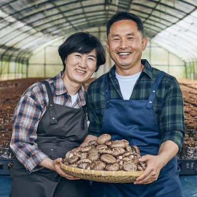 팜피 1호점_머쉬룸파파 : 향과 식감이 뛰어난 무농약 표고버섯 특선/알뜰/건표고