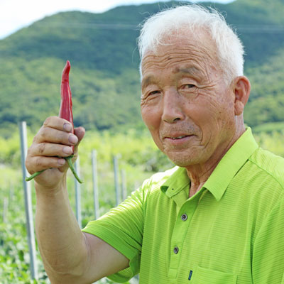 하늘빛농장 : 빛깔 좋은 '건고추'