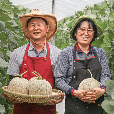 맑은샘농장 : 향까지 맛있는 꿀멜론