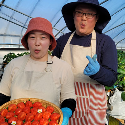 팜피 30호점 : 청춘농장 설향딸기 1.7kg