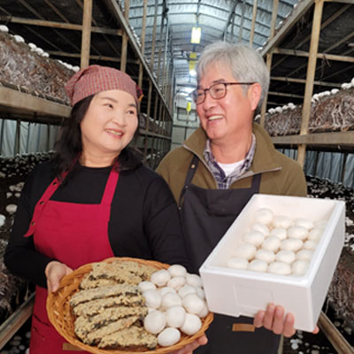 팜피33호점 가을하늘농장 : 예쁜 양송이버섯 2kg