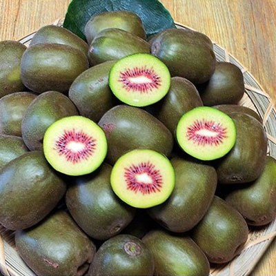 [싱싱참다래농원] 레드 키위 3kg/5kg