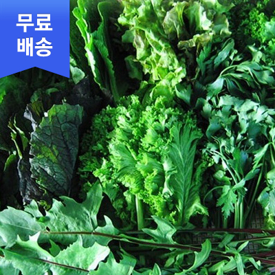 [초록내음] 유기농 GAP인증 쌈채소 모음