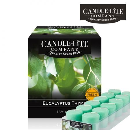 유칼립투스타임