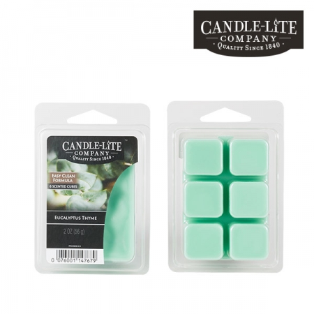 유칼립투스타임