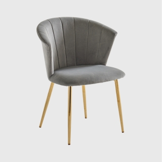 데브리(그레이)