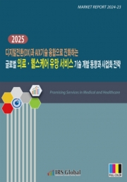 2025 디지털전환(DX)과 AIX기술 융합으로 진화하는 글로벌 의료&middot;헬스케어 유망 서비스 기술 개발 동향과 사업화 전략
