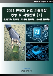 2025 반도체산업 기술개발 동향 및 시장전망 (Ⅰ)