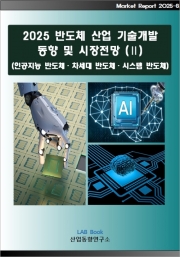 2025 반도체산업 기술개발 동향 및 시장전망 (Ⅱ)