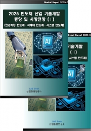 2025 반도체산업 기술개발 동향 및 시장전망 (Ⅰ, Ⅱ 세트)