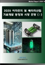 2025 이차전지 및 배터리산업 기술개발 동향과 시장전망 (Ⅰ)