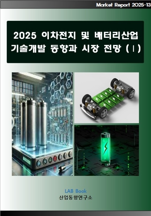 2025 이차전지 및 배터리산업 기술개발 동향과 시장전망 (Ⅰ)