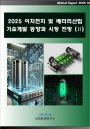 2025 이차전지 및 배터리산업 기술개발 동향과 시장전망 (Ⅱ)