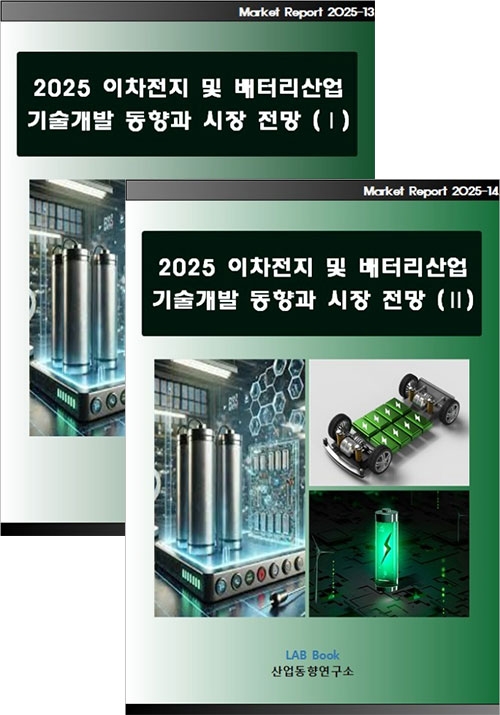 2025 이차전지 및 배터리산업 기술개발 동향과 시장전망 (Ⅰ, Ⅱ 세트)