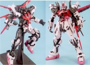 BAN938257 1/60 PG Strike Rouge + Skygrasper