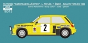 [사전 예약] REJ18013 1/18 Decal &ndash; Renault 5 Turbo &bdquo;AGROTEAM&ldquo; - Rallye Teplice 1982 - Pavl&iacute;k / &Scaron;imek 1/18