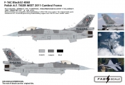 [사전 예약] FD48044 1/48 F-16C Block52 4060 PoIish A.F. TIGER MEET 2011 Cambrai France