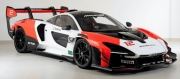 [재고:1개] Z207 1/24 McLaren Senna GTR part set for Tamiya