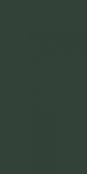 앱솔루트 그린C Absolute Green / 포세린타일 / 무광 / 1200*2800*6mm / 1장